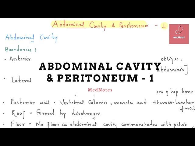 Abdominal Wall & Peritoneum - 1 | MedNotes