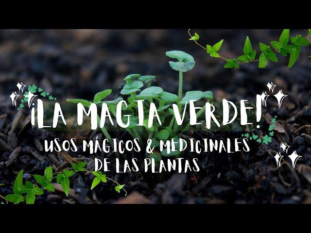 MAGIA VERDE / Usos mágicos y medicinales de las plantas