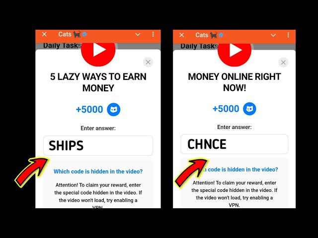 5 LAZY WAYS TO EARN MONEY Cats Code | MONEY ONLINE RIGHT NOW! Cats video code today