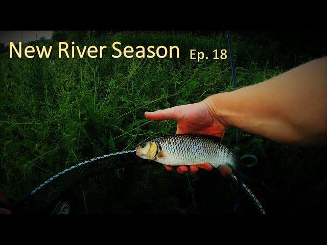 River Foss Fishing - Ep. 18: New River Season
