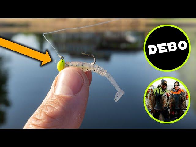 Ultralight Fishing A New Lake (With Debo, Jeff, & Paul)