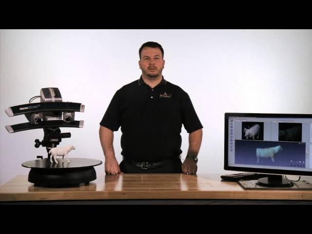 White Light Scanning Services