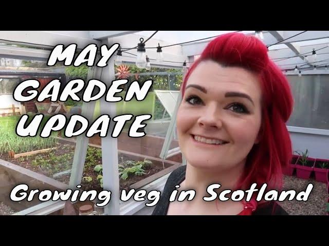 How to grow veg in Scotland - May Update in the Garden / MoggyBoxCraft