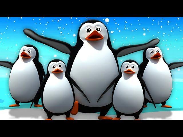 5 Chú Chim Cánh Cụt Nhỏ | Vần Điệu Trẻ | Bài Hát Trẻ Em | Five Little Penguins | Kids Tv Vietnam