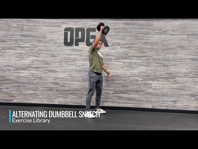 Alternating Dumbbell Snatch