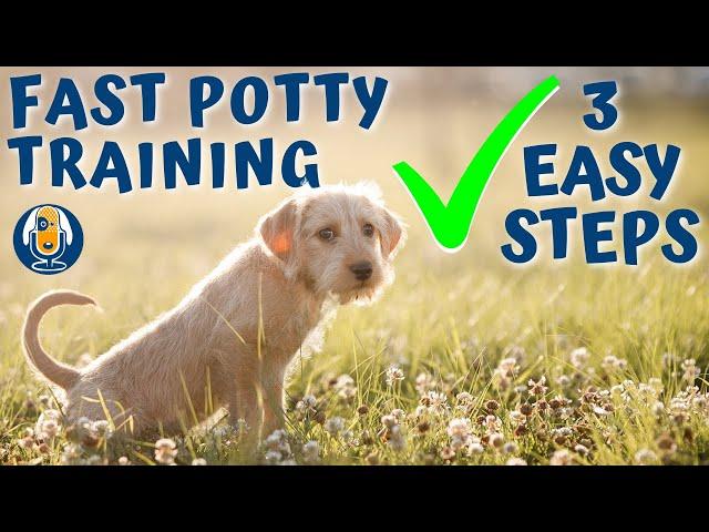 Potty Train Your Puppy in a Week (Easy 3 Step Process) #48