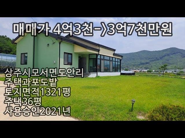 (230612)(면적수정)신축주택과 샤인머스켓 포도밭 매매.토지면적1321평.주택면적 36평.경량철골구조. 매매가 4억3천만원/경북 상주시 모서면 도안리(아래 더보기 참조)