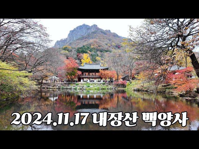 [Hiking] 내장산 국립공원 l 백양사 단풍 I Naejangsan National Park