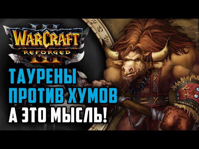 Таурены против Альянса? А это мысль: Bichon (ORC) vs QLHFYM (Hum) Warcraft 3 Reforged