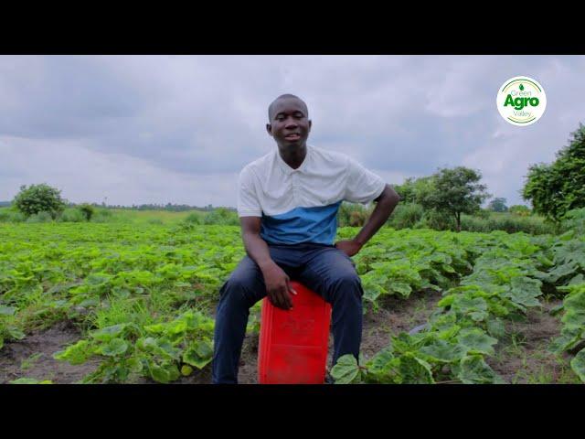 Visite du site de M. Silué Kassoum, Système d'irrigation Laser spray