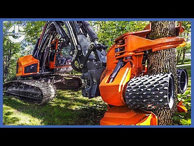 TOP 10 Most Powerful Forestry Machines You Need To See | Powerful Machines That Are At Another Level