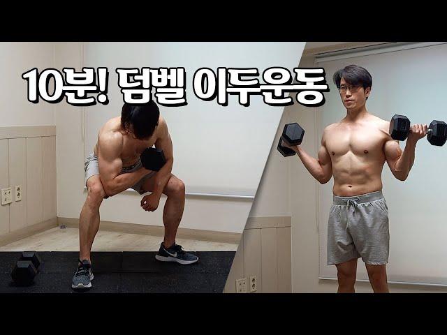 하루10분! 팔 근육을 키우는 덤벨운동 (이두운동) | 10 Min Biceps Workout With Dumbbells (Arm Workout)