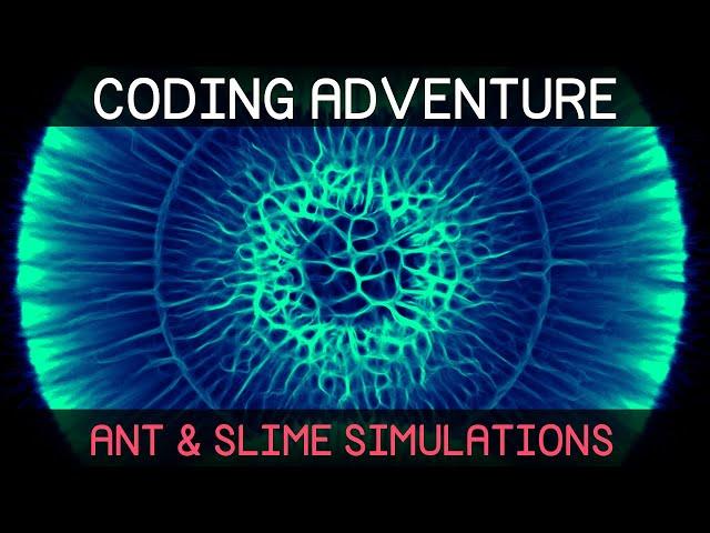 Coding Adventure: Ant and Slime Simulations