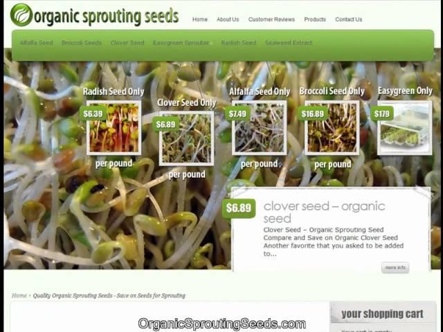 Buy Organic Sprouting Seeds Wholesale - Save on Bulk Sprouting Seeds