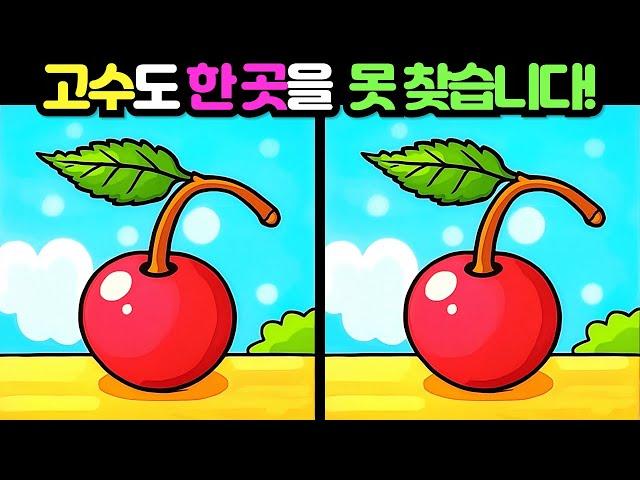 【다른그림찾기 / 틀린그림찾기】 고수도 3개 중 한 곳을 못찾습니다! 재밌고 건강한 두뇌 훈련 퀴즈 【두뇌운동/치매예방/집중력향상】 #111