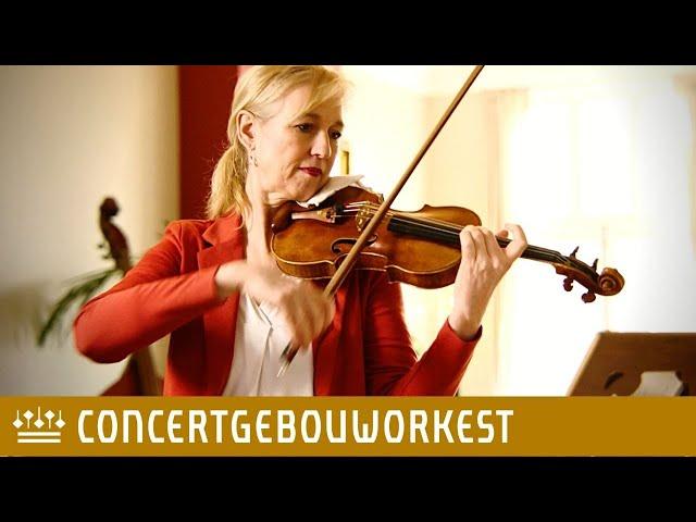 First violinist Marleen Asberg | Concertgebouworkest