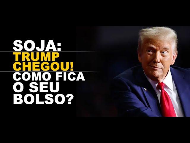 SOJA: TRUMP CHEGOU! COMO FICA O SEU BOLSO?