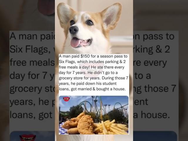 A Man Paid $150 For A Season Pass To Six Flags. (Doggo)