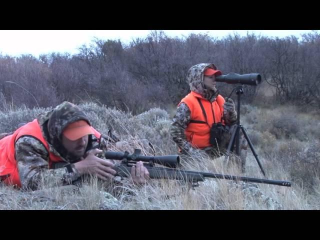 Huge Colorado Bull Elk - Extreme Outer Limits TV