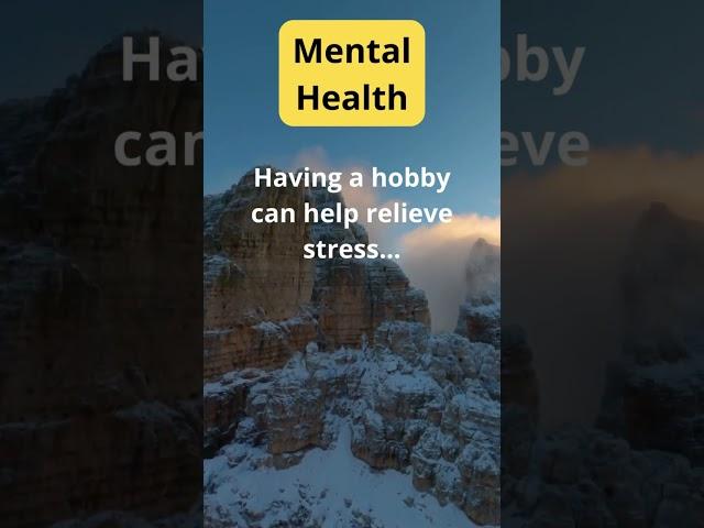 Hobbies for Stress Relief