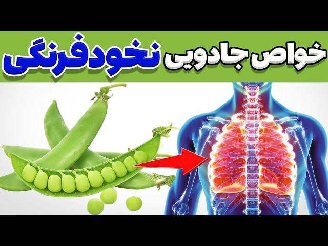 خواص نخود فرنگی | خواص دارویی و بی نظیر نخود فرنگی یا نخود سبز