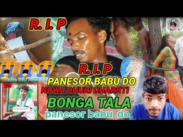 Panesor babu do  Santali  Video 2024 Nowa dhuri dharti Bonga Tala na#ram