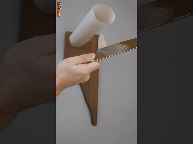 Knife Sharpening #25  Sharpest Kitchen Knife  Razor Sharp! #Shorts #knife #sharp #sharpening