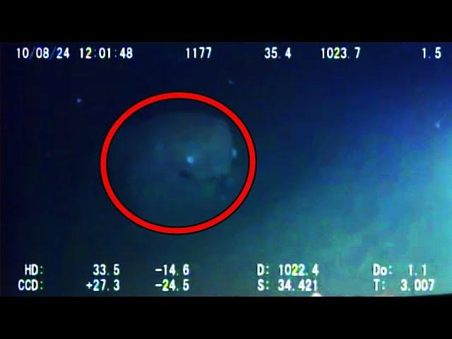 12 Mysterious Underwater Creatures Caught on Tape