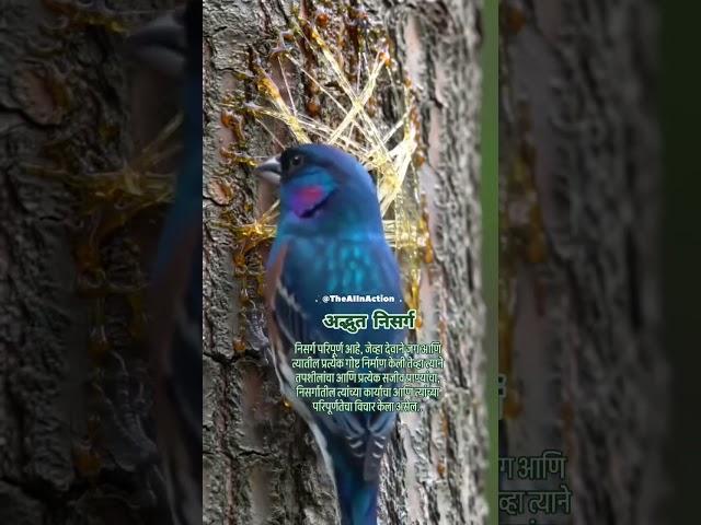 Awesome Nature...#nature #ai #real #bird #birds #birdwatching #art #artist #naturelovers