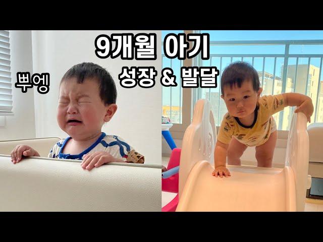 9개월 아기 성장과 발달 한달 기록 | 육아vlog | 찰떡이