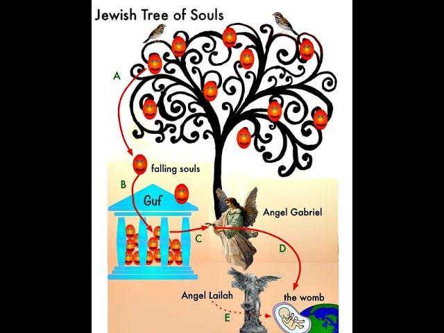 Guff: The Jewish Tree Of Life (A Quick Review)