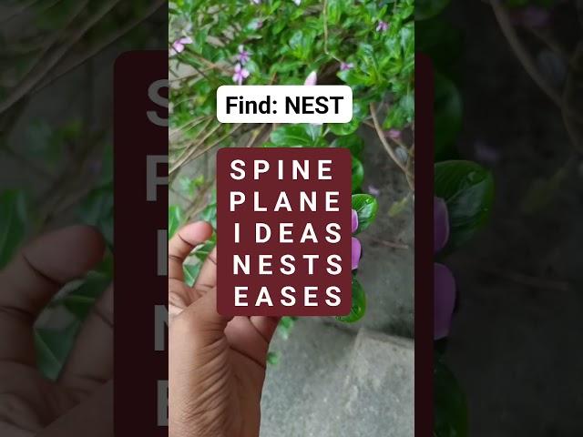 Find :NEST #brainteaser #search #puzzle #reels #find