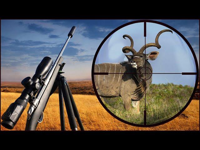 Unforgettable African Hunting Debut