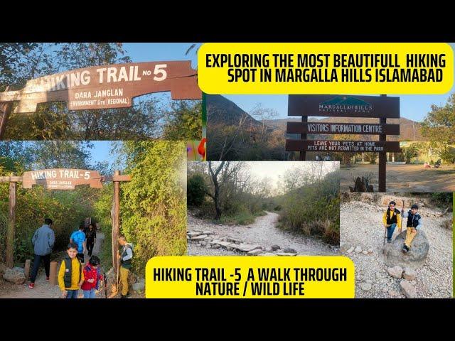 Exploring The Most Beautiful Hiking Spot In Margalla Hills Islamabad Hiking Trail-5 A Walkthrough