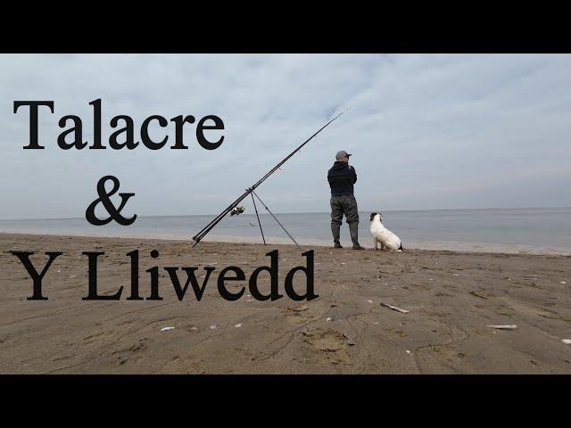 Talacre Beach Smoothounds & Y Lliwedd, Snowdonia National Park