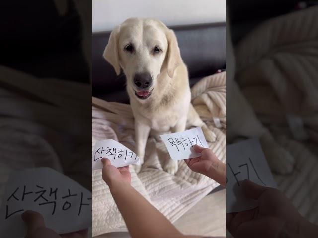 까막눈의 비애