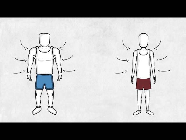 Fast twitch vs Slow twitch muscle fibers