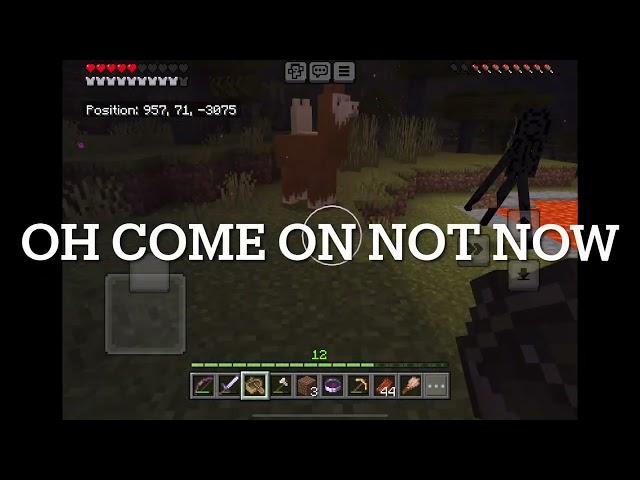 The most ridiculously overpowered enderman in Minecraft like seriously