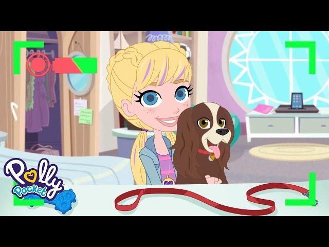 Polly Pocket | Emmenons nos animaux de compagnie à la rencontre de la sirène magique !‍️