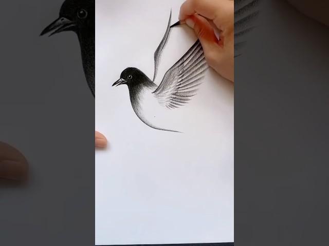 how to draw a realistic bird step by step for beginners..  #bird #drawing