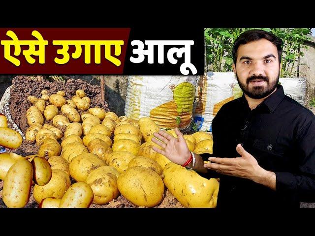 आलू उगाने का नया तरीक़ा | aloo ki Kheti | potato farming | new potato varieties | potato business