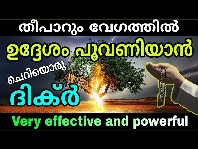 തീപാറും വേഗത്തിൽ ആഗ്രഹങ്ങൾ പൂവണിയാൻ | powerful dikir of Allah | Ya swamad | Problems and Solutions