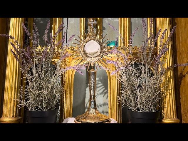 Five minutes with Jesus - 30th May 2025