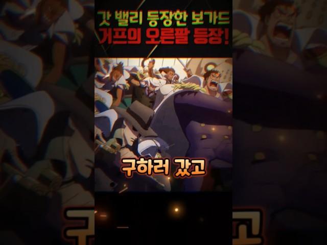 거프의 부관 보가드 등장! 록스 해적단 앞에서도 쫄지 않습니다 #원피스 #onepiece