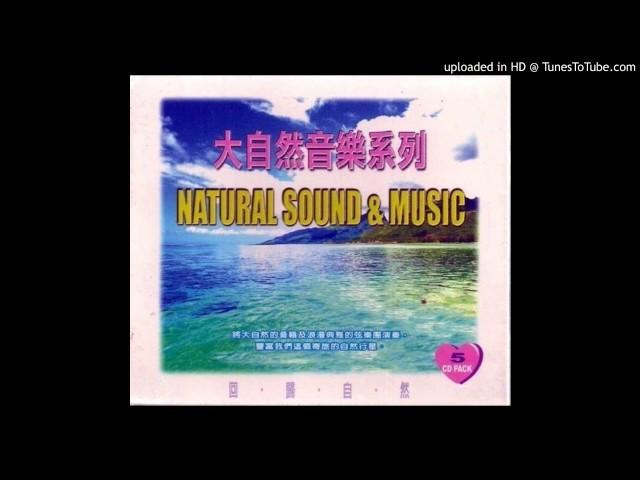 大自然音樂系列 // 海