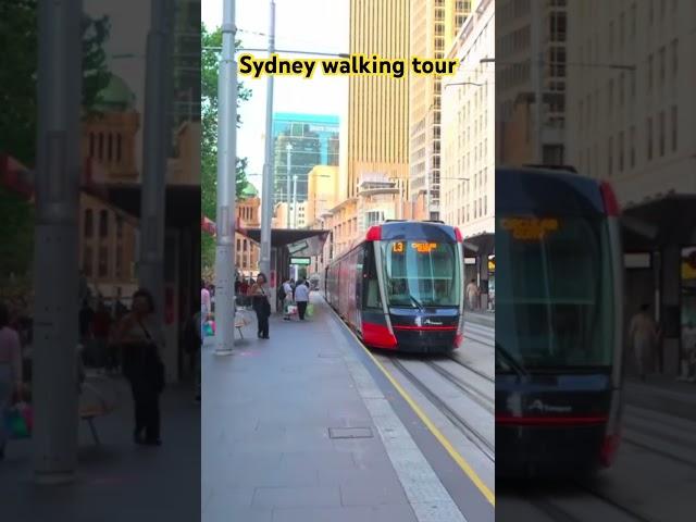 Sydney walking tour #sydneywalktour #sydneycbd #travel #singaporeairport #sydneyharbour #australian