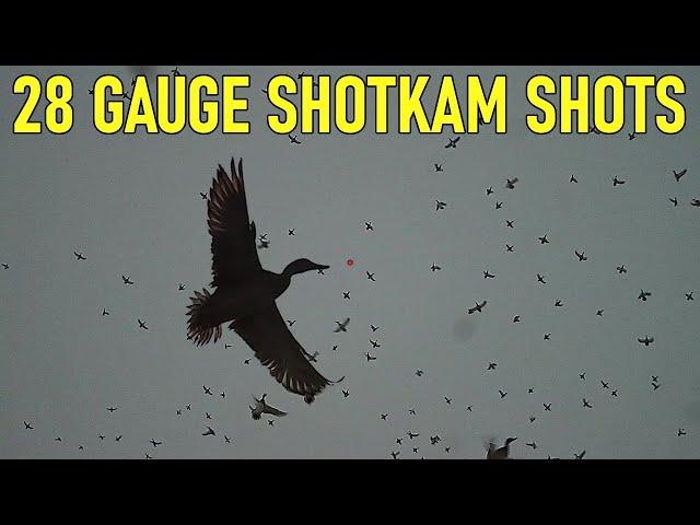 28 GAUGE Duck Hunting - 64 Kills - with a SHOTKAM