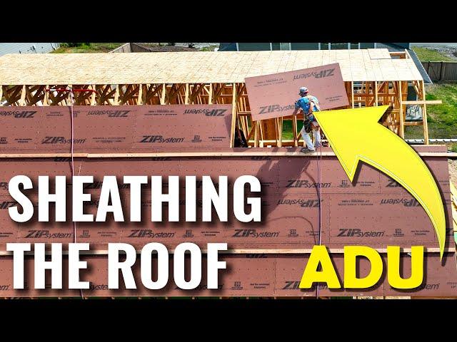 Mastering Framing: Roof Sheathing & Fall Protection Tips!