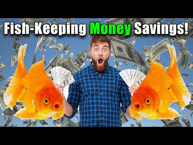 How to Save Money in Fish Keeping in 2025!