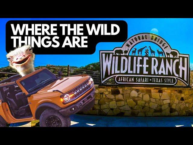 Visit NATURAL BRIDGE WILDLIFE RANCH Safari in San Antonio